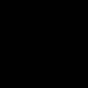 Meet your Posher, Kira